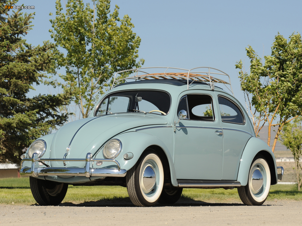 Images of Volkswagen Beetle 1953–57 (1024 x 768)