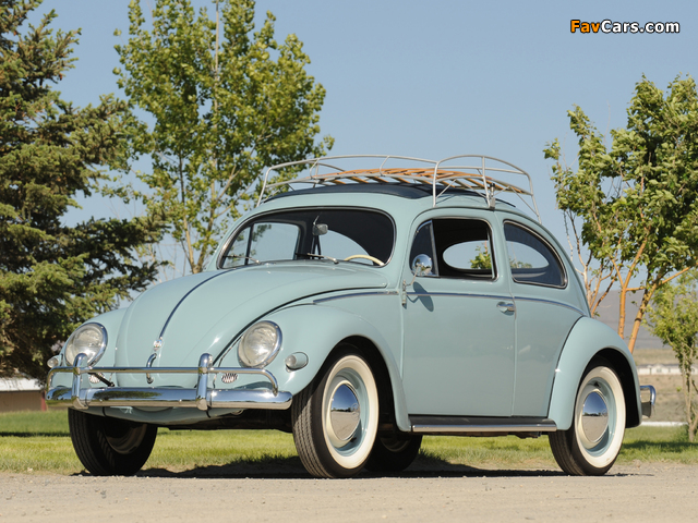 Images of Volkswagen Beetle 1953–57 (640 x 480)
