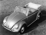 Images of Volkswagen Käfer 1200 Cabriolet 1954–65