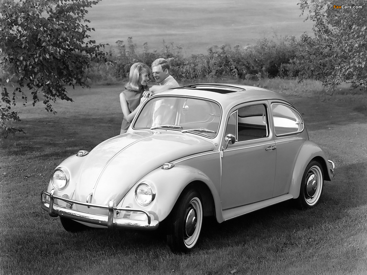 Images of Volkswagen Beetle 1962–68 (1280 x 960)