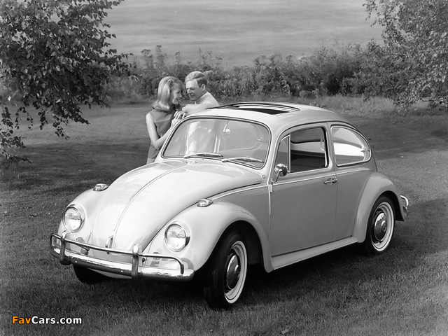 Images of Volkswagen Beetle 1962–68 (640 x 480)