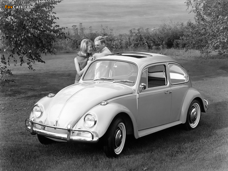 Images of Volkswagen Beetle 1962–68 (800 x 600)