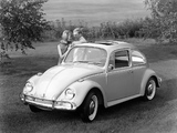 Images of Volkswagen Beetle 1962–68