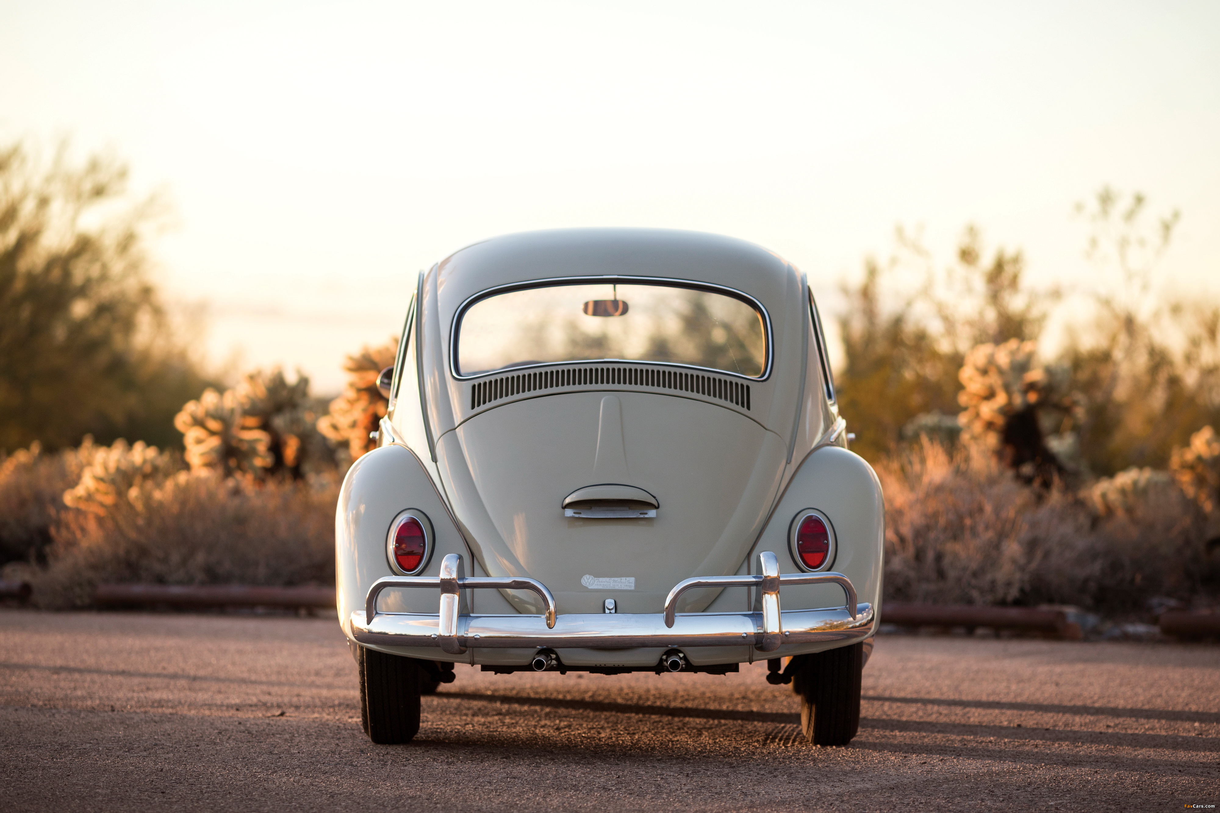 Images of Volkswagen Beetle North America 1965 (4000 x 2667)