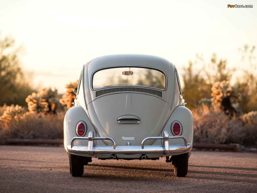 Images of Volkswagen Beetle North America 1965 (1024 x 768)