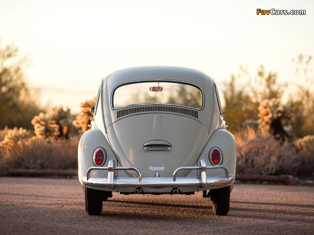 Images of Volkswagen Beetle North America 1965 (640 x 480)