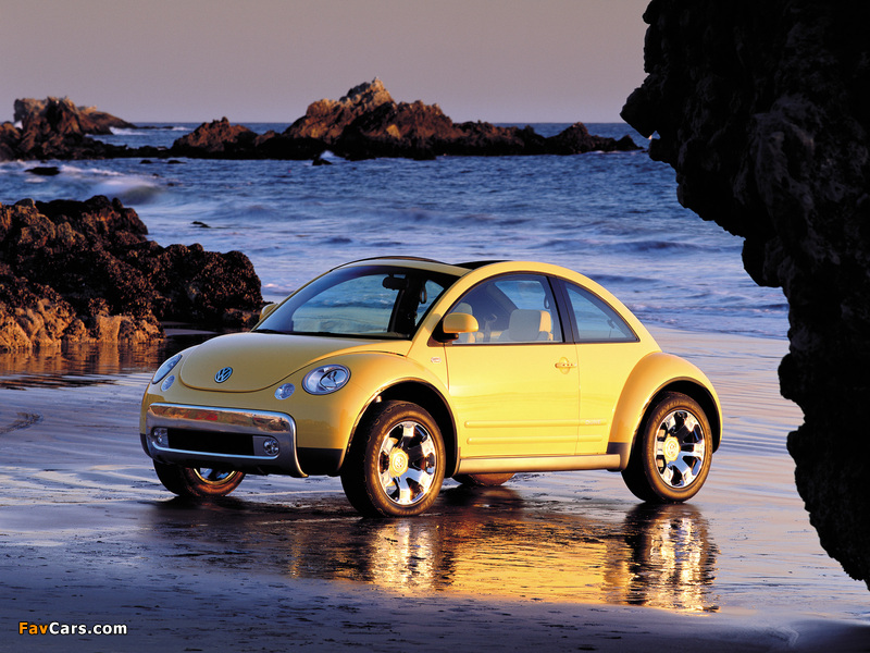 Images of Volkswagen New Beetle Dune Concept 2000 (800 x 600)