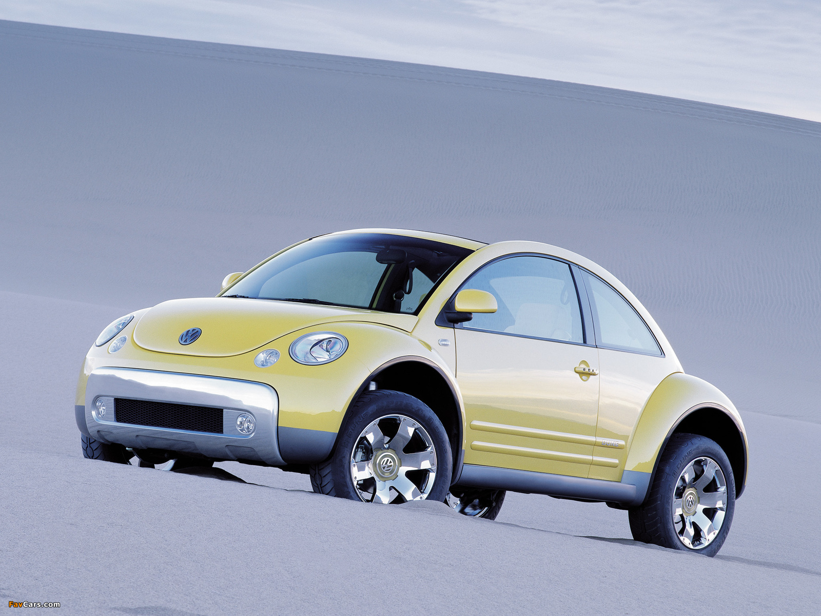 Images of Volkswagen New Beetle Dune Concept 2000 (1600 x 1200)