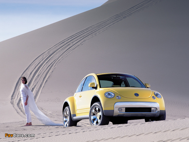 Images of Volkswagen New Beetle Dune Concept 2000 (640 x 480)