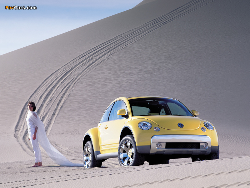 Images of Volkswagen New Beetle Dune Concept 2000 (800 x 600)