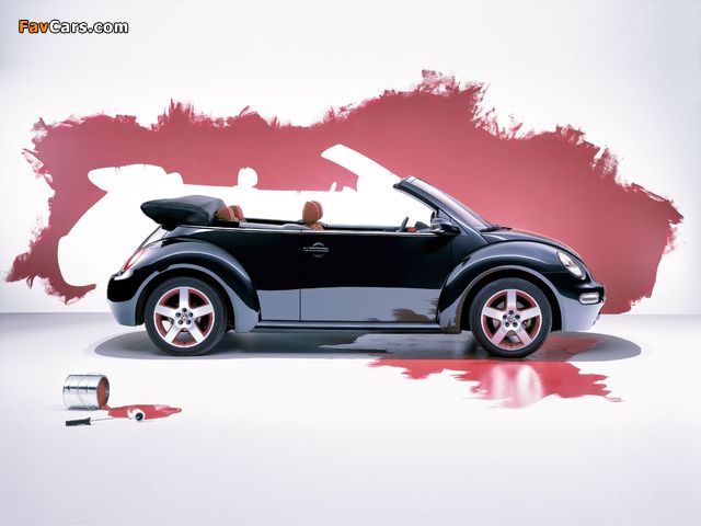 Images of Volkswagen New Beetle Dark Flint 2005 (640 x 480)