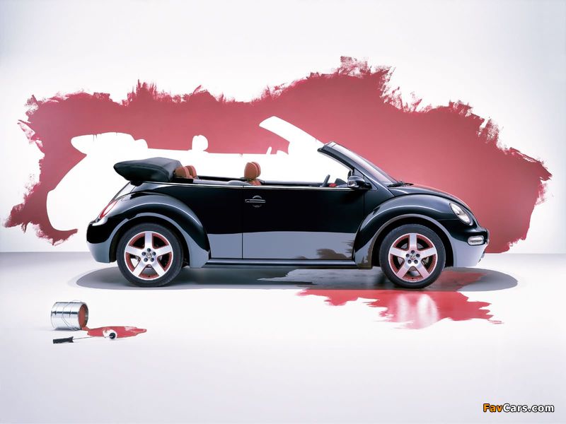 Images of Volkswagen New Beetle Dark Flint 2005 (800 x 600)