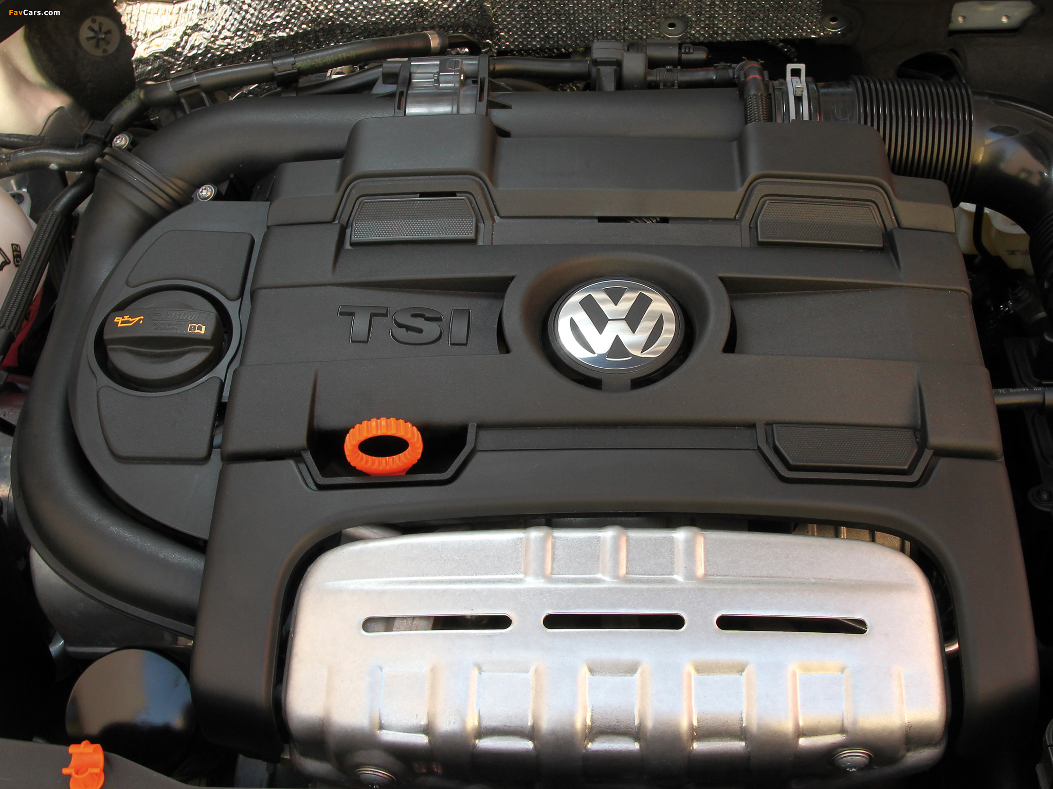Images of Volkswagen Beetle 2011 (2048 x 1536)