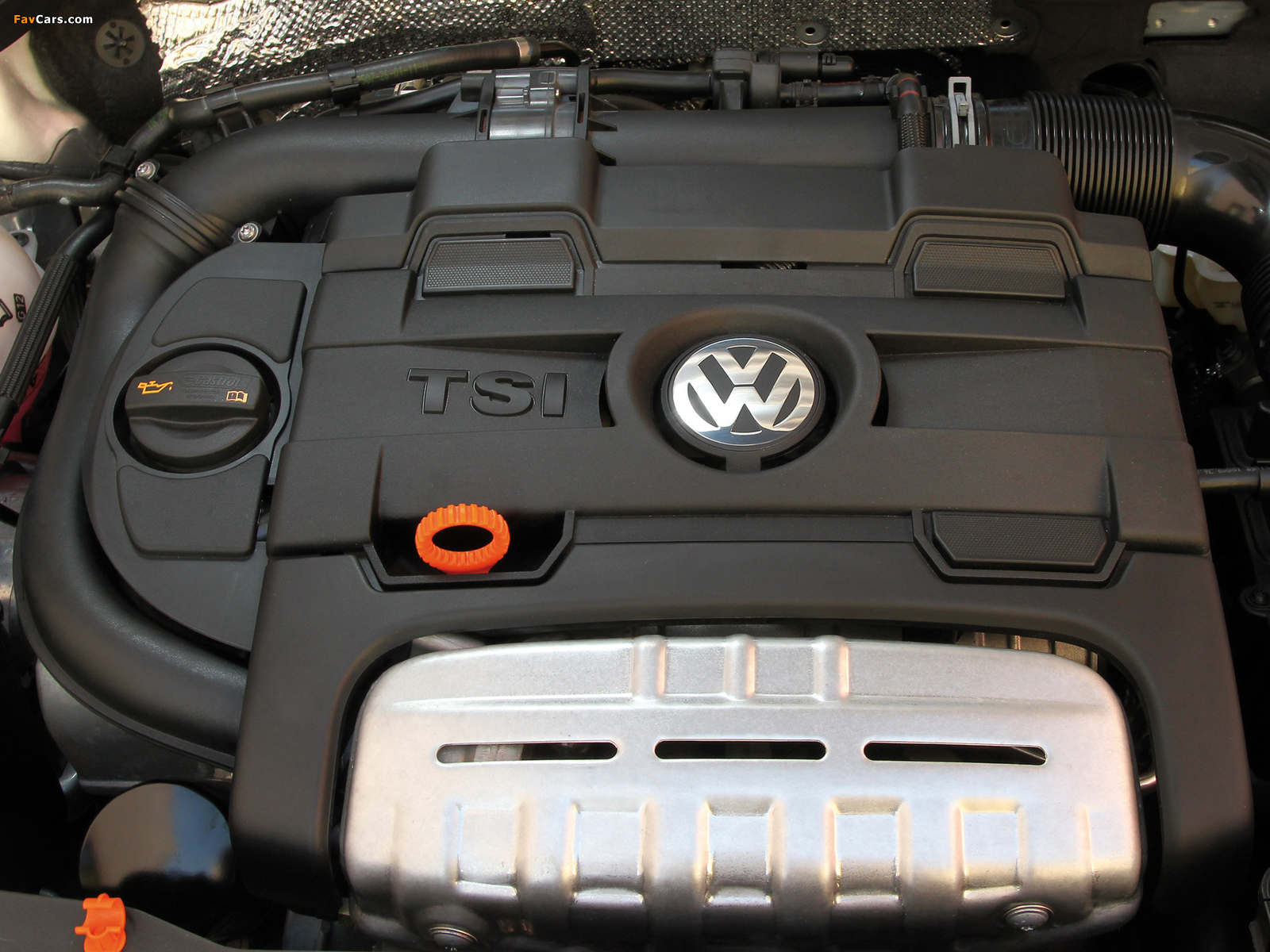 Images of Volkswagen Beetle 2011 (1600 x 1200)