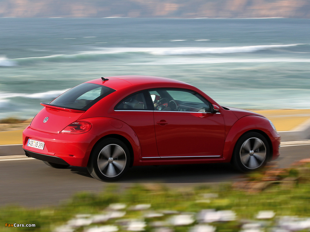 Images of Volkswagen Beetle 2011 (1024 x 768)
