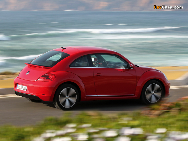 Images of Volkswagen Beetle 2011 (640 x 480)