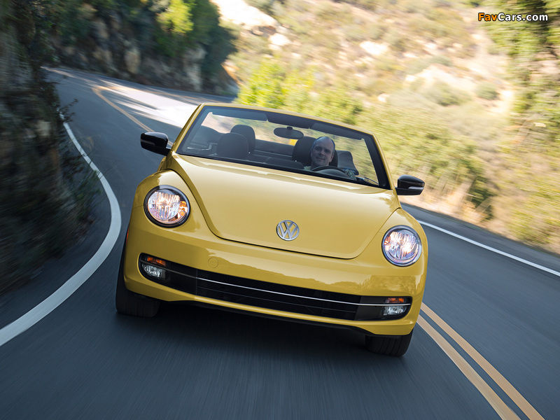 Images of Volkswagen Beetle Convertible 2012 (800 x 600)