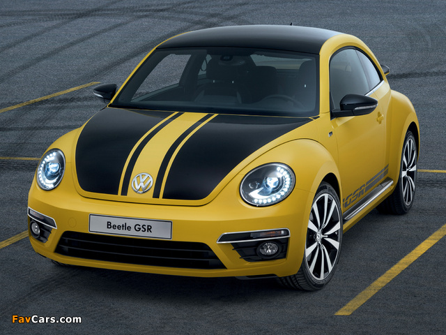 Images of Volkswagen Beetle GSR 2013 (640 x 480)