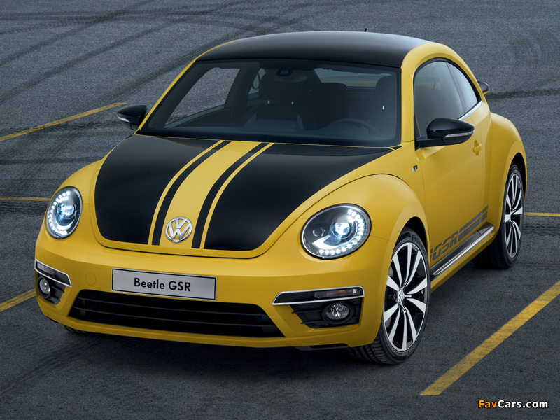 Images of Volkswagen Beetle GSR 2013 (800 x 600)