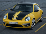 Images of Volkswagen Beetle GSR 2013