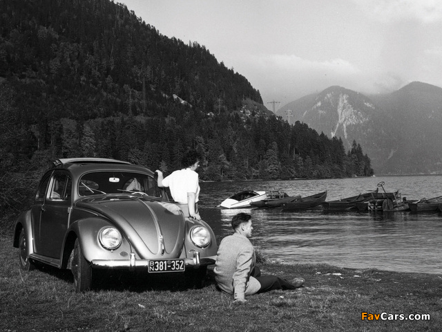Photos of Volkswagen Käfer 1100 (Typ 11) 1949–53 (640 x 480)