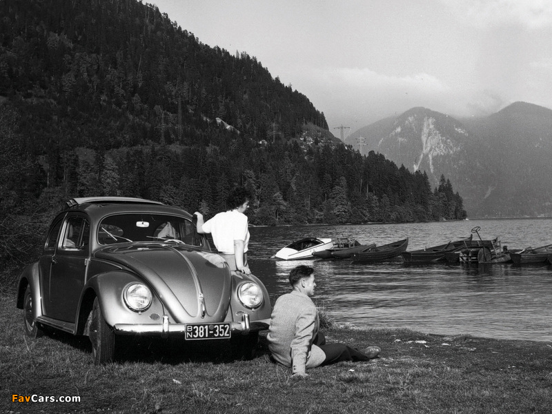 Photos of Volkswagen Käfer 1100 (Typ 11) 1949–53 (800 x 600)