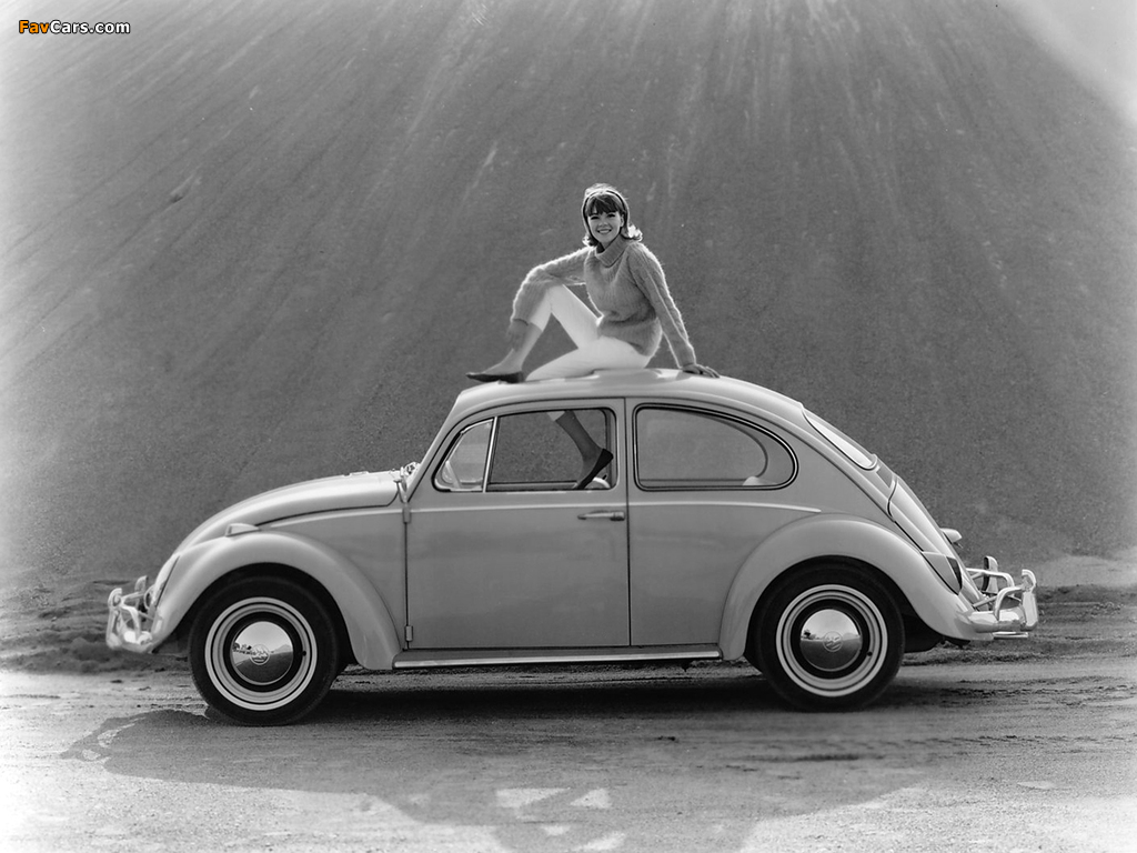 Photos of Volkswagen Beetle 1962–68 (1024 x 768)