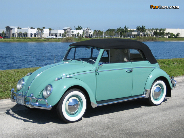 Photos of Volkswagen Beetle Convertible (Type 1) 1962–68 (640 x 480)