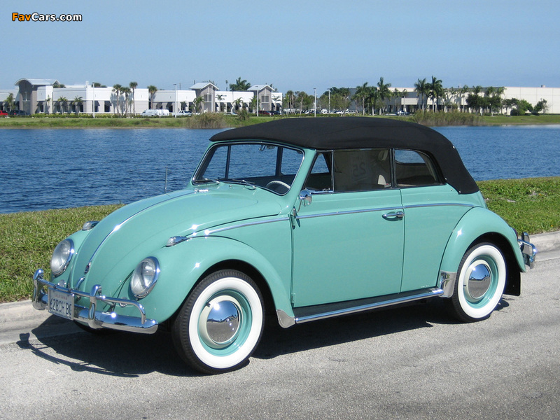 Photos of Volkswagen Beetle Convertible (Type 1) 1962–68 (800 x 600)