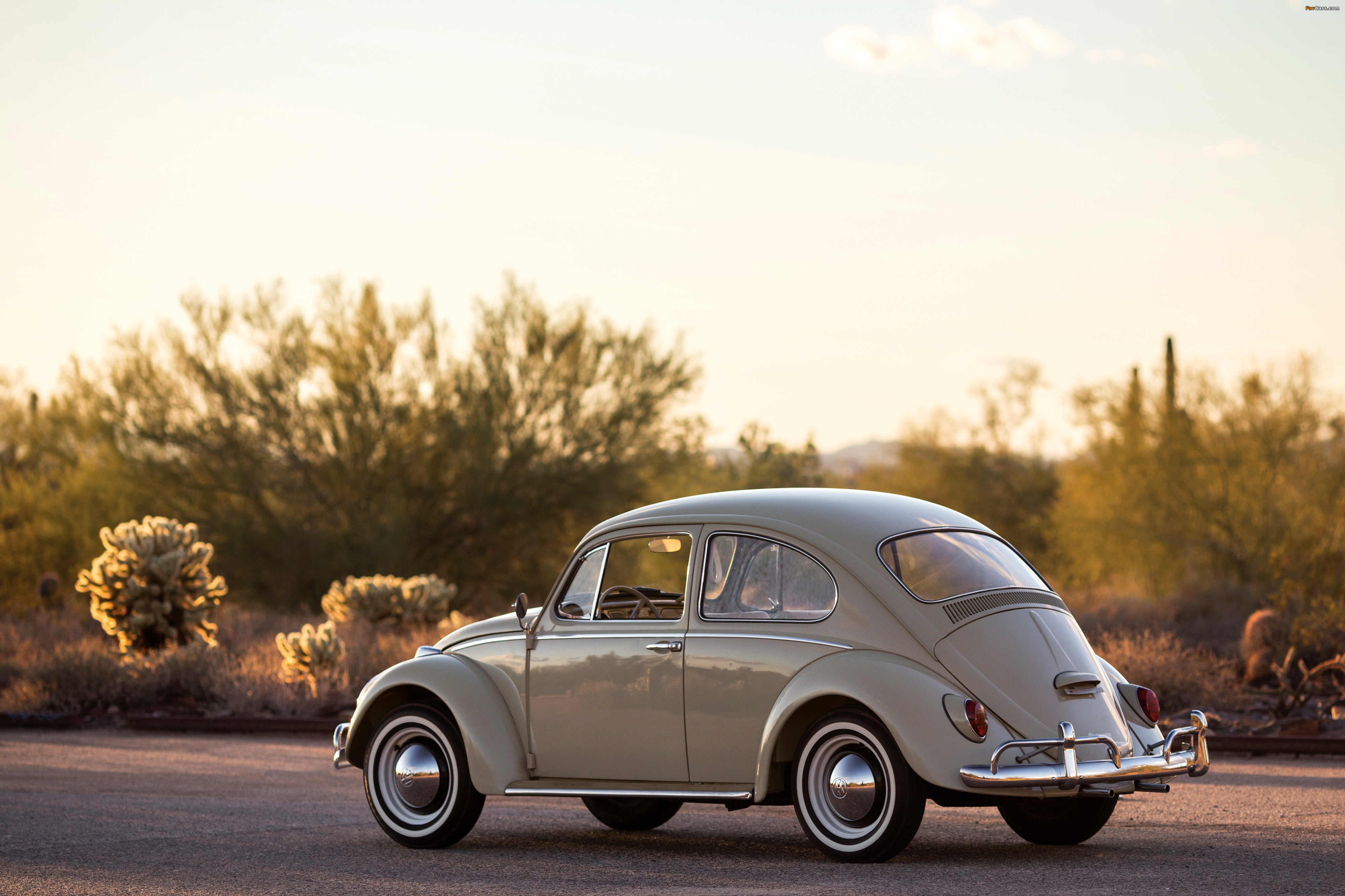 Photos of Volkswagen Beetle North America 1965 (4000 x 2666)