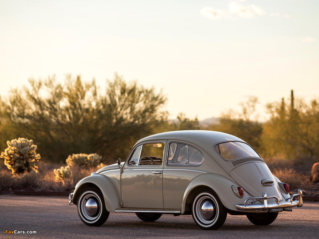 Photos of Volkswagen Beetle North America 1965 (1024 x 768)