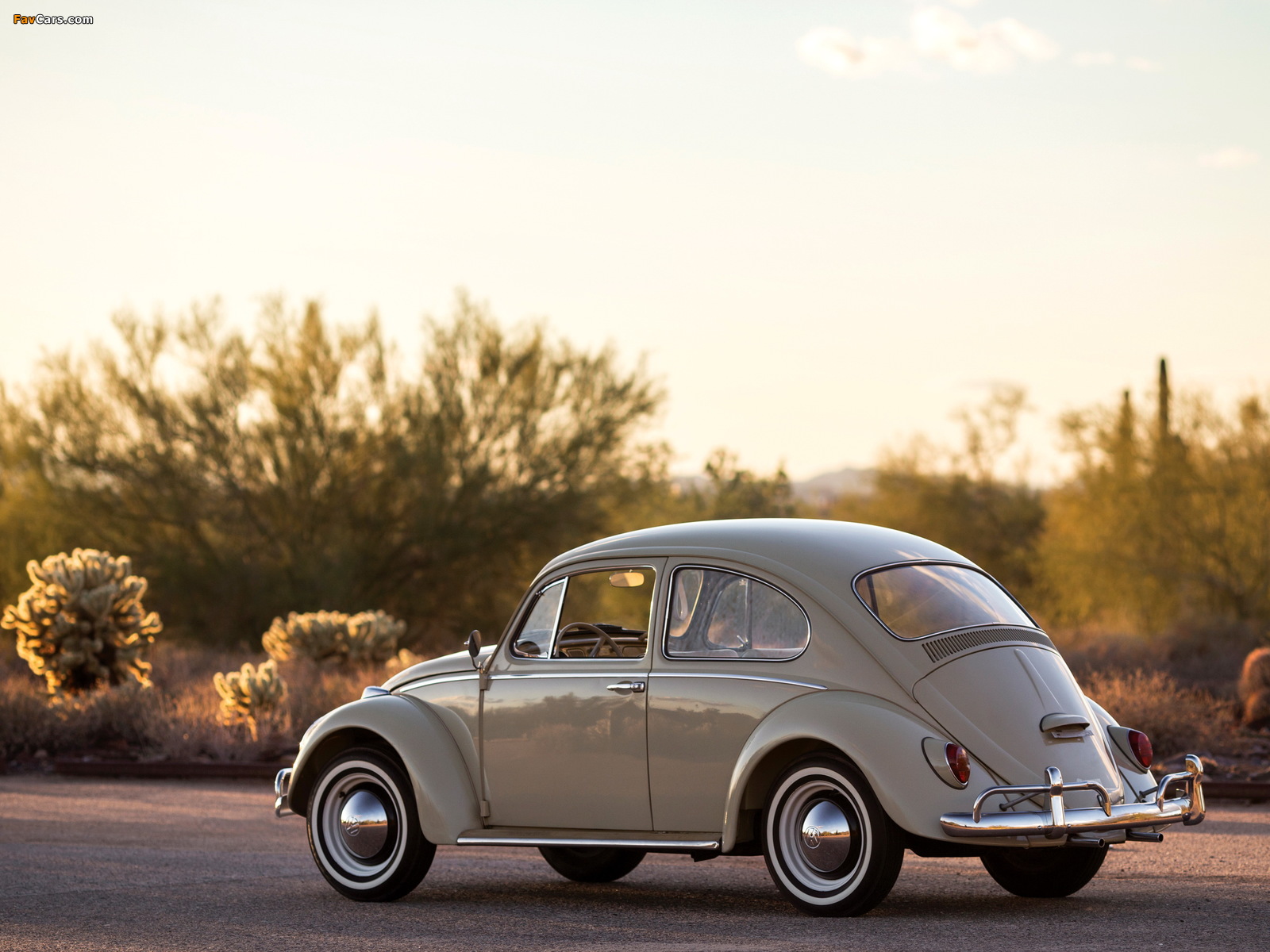 Photos of Volkswagen Beetle North America 1965 (1600 x 1200)