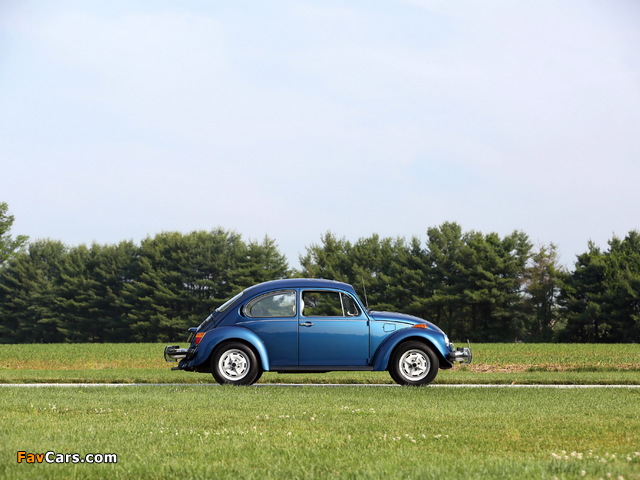 Photos of Volkswagen Beetle North America 1977 (640 x 480)