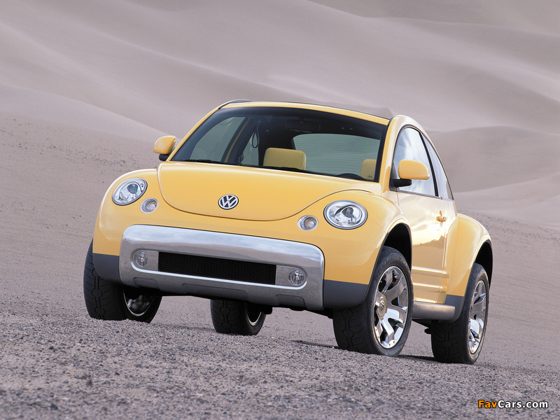 Photos of Volkswagen New Beetle Dune Concept 2000 (800 x 600)