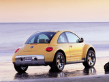 Photos of Volkswagen New Beetle Dune Concept 2000