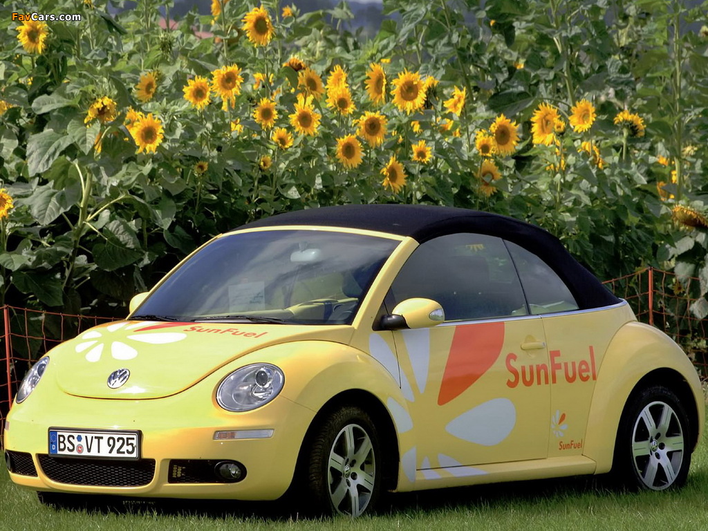 Photos of Volkswagen New Beetle Cabrio SunFuel Concept 2006 (1024 x 768)