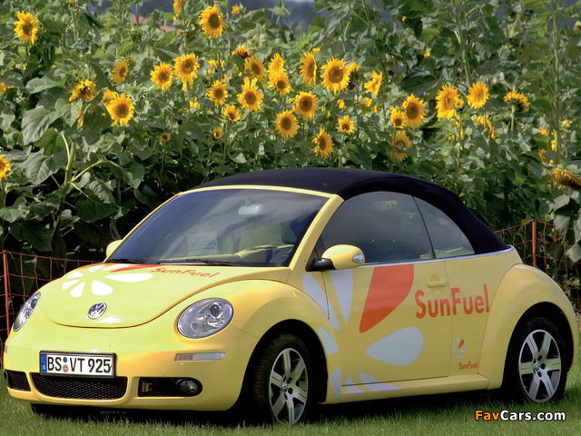 Photos of Volkswagen New Beetle Cabrio SunFuel Concept 2006 (640 x 480)