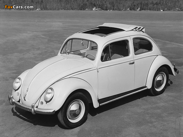 Pictures of Volkswagen Käfer 1953–57 (640 x 480)