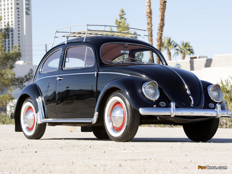 Pictures of Volkswagen Beetle North America 1954 (800 x 600)