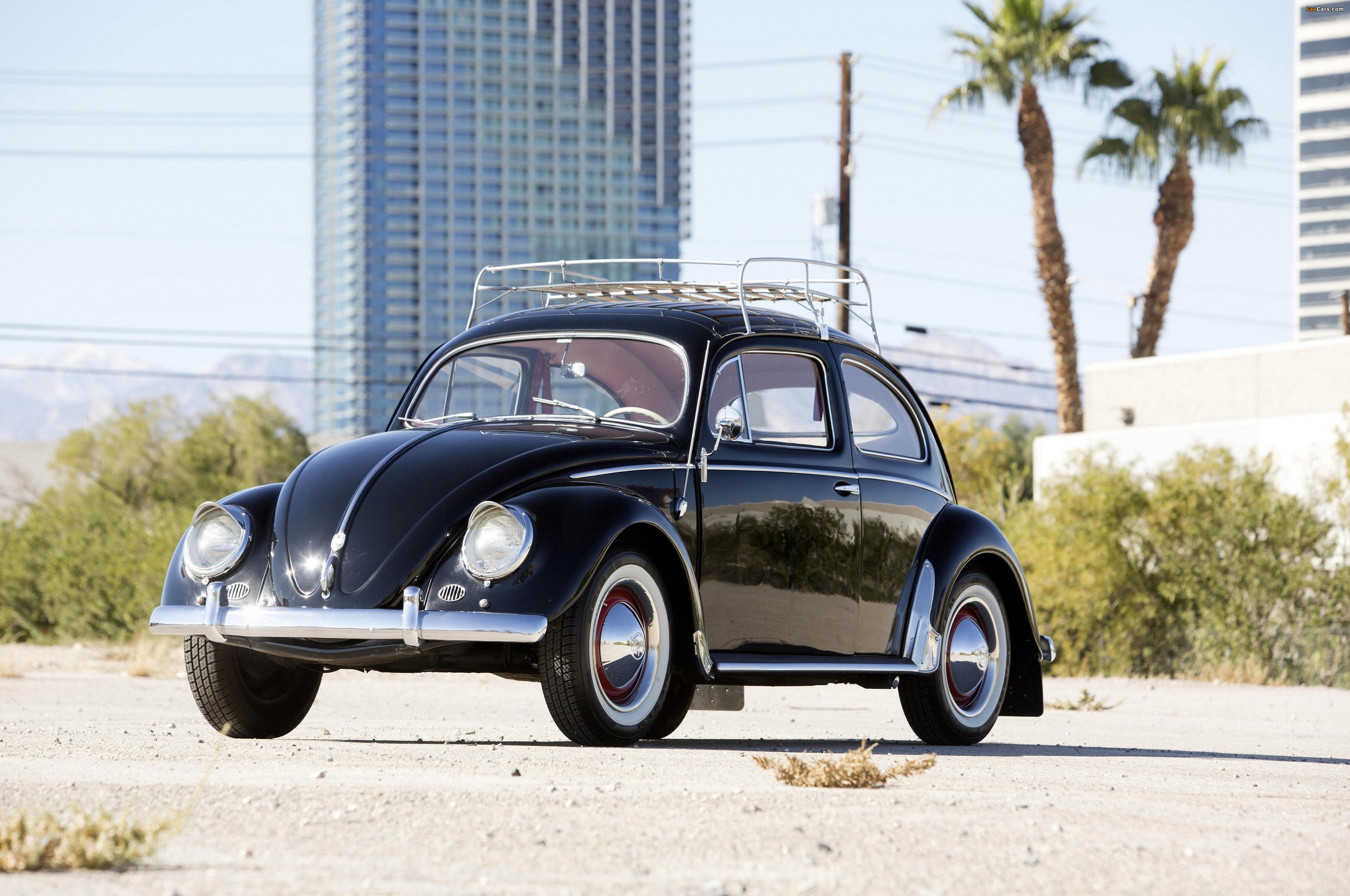 Pictures of Volkswagen Beetle North America 1954 (3600 x 2390)