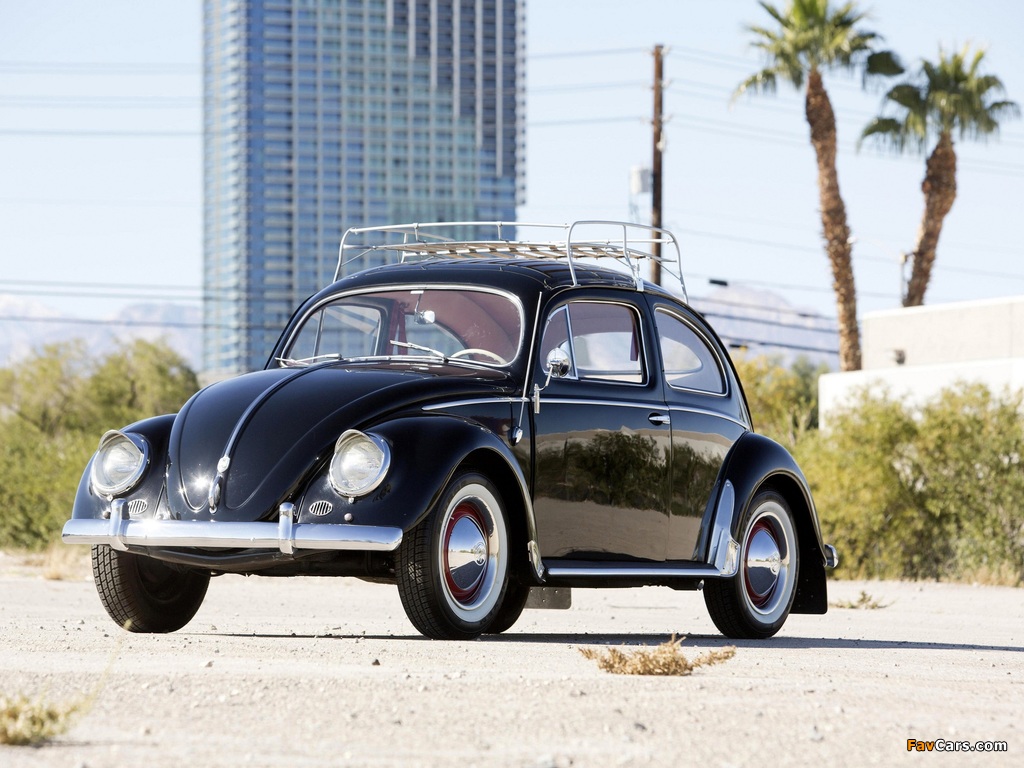 Pictures of Volkswagen Beetle North America 1954 (1024 x 768)