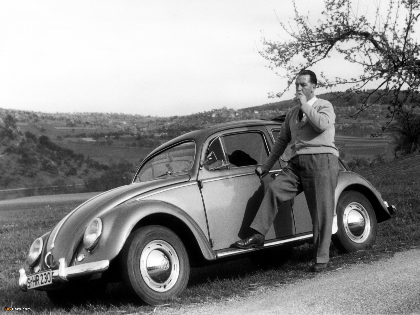 Pictures of Volkswagen Beetle 1962–68 (1600 x 1200)