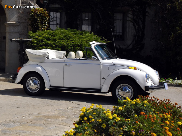 Pictures of Volkswagen Beetle Convertible Bicentennial 1976 (640 x 480)
