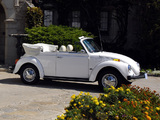 Pictures of Volkswagen Beetle Convertible Bicentennial 1976