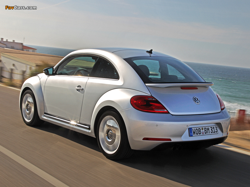 Pictures of Volkswagen Beetle 2011 (800 x 600)