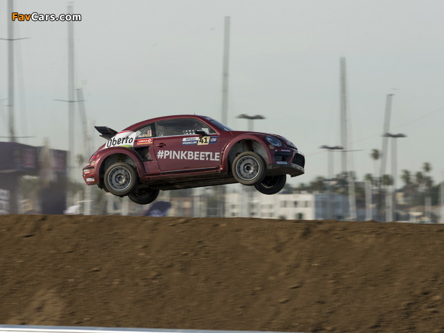 Pictures of Volkswagen Beetle GRC 2015 (640 x 480)