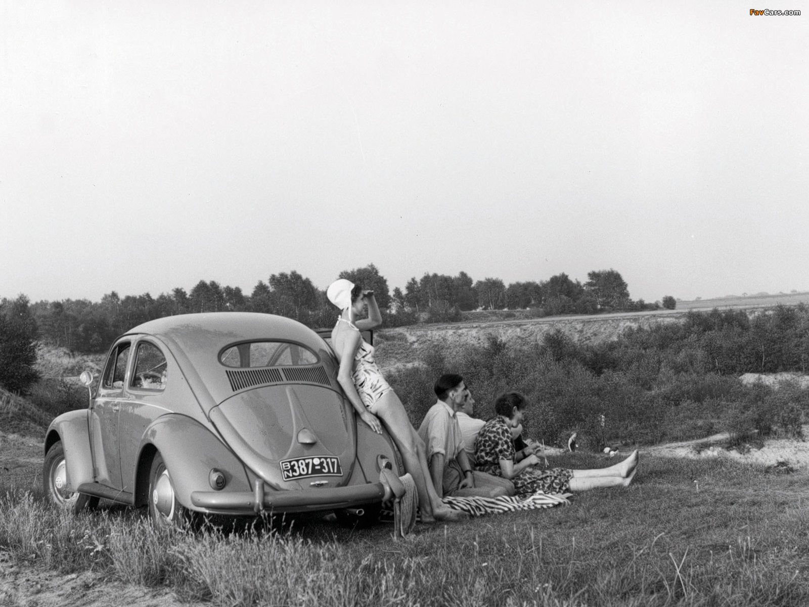 Pictures of Volkswagen Beetle / Käfer (1600 x 1200)