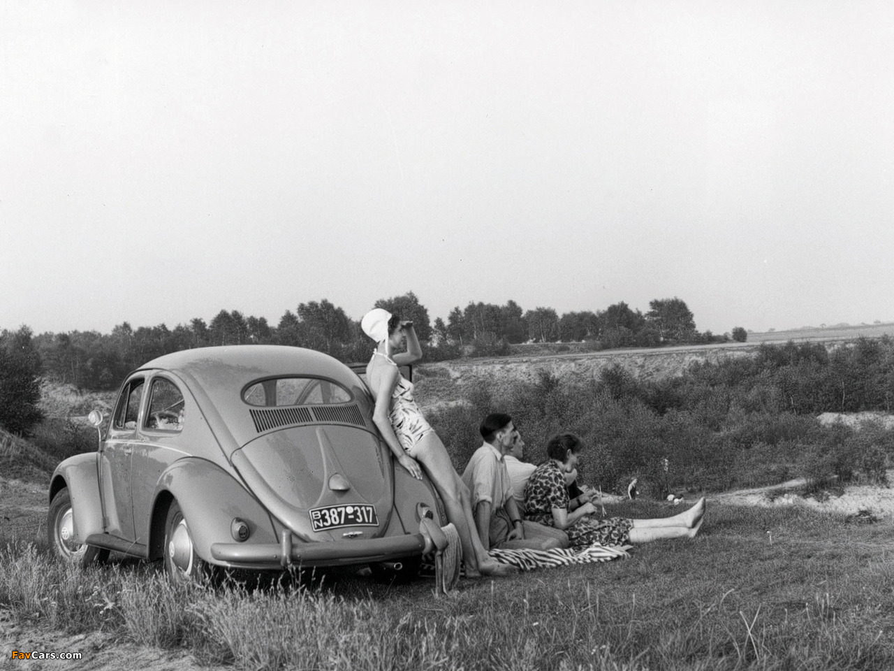 Pictures of Volkswagen Beetle / Käfer (1280 x 960)