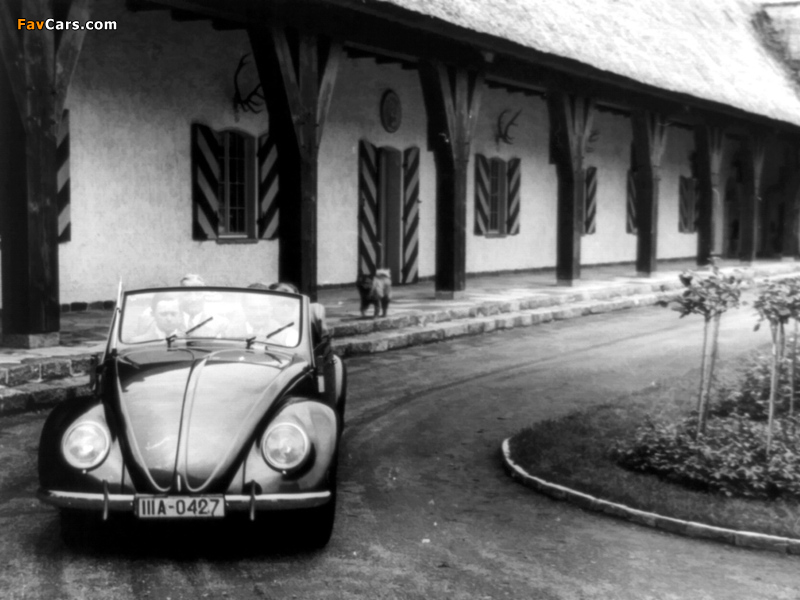 Volkswagen Käfer Cabriolet 1939 images (800 x 600)
