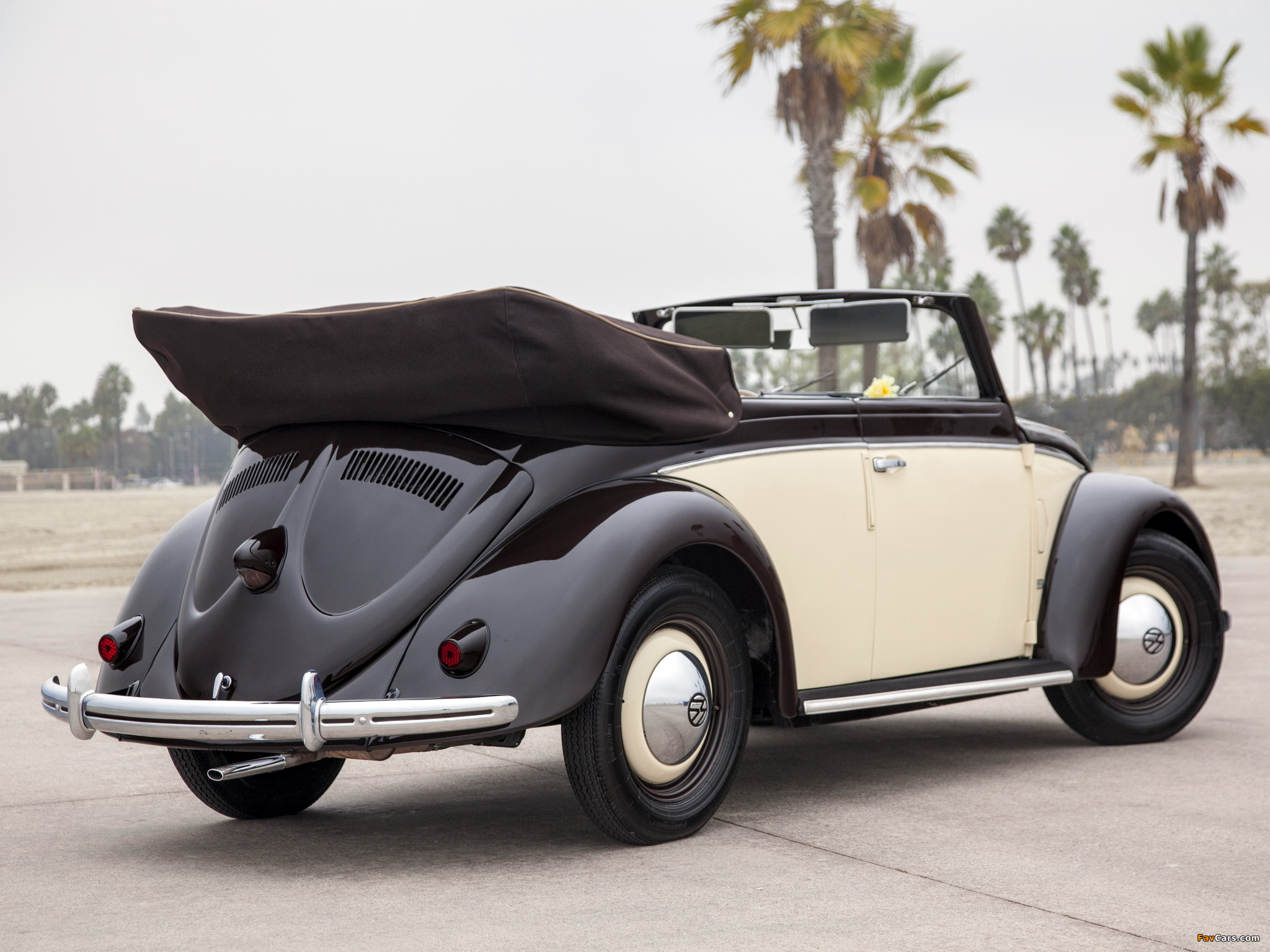 Volkswagen Käfer Karmann Cabriolet (Typ 15) 1949–53 images (2048 x 1536)